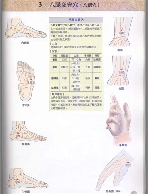 八會穴口訣|八会